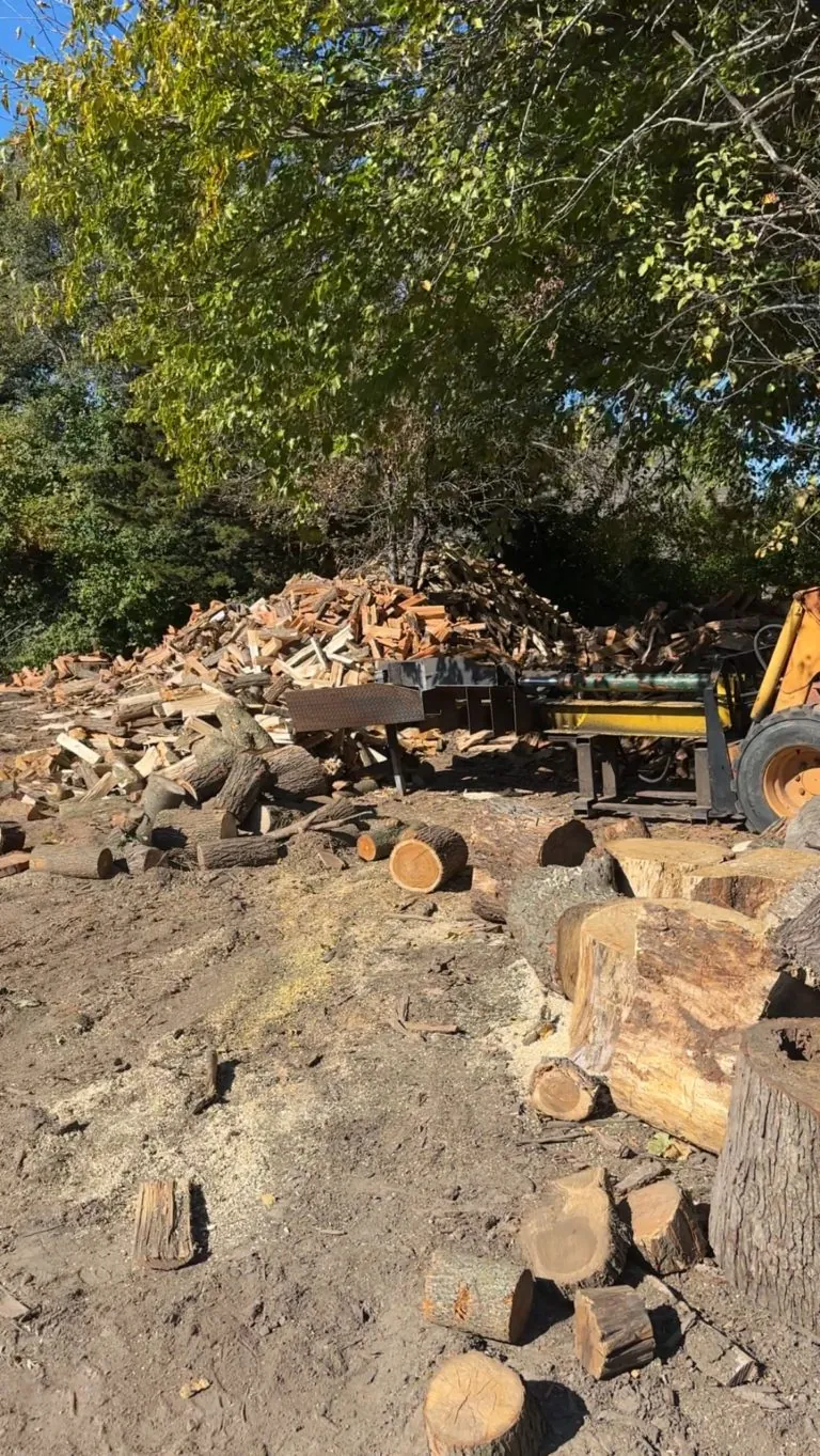 Stacked firewood logs and split wood pile